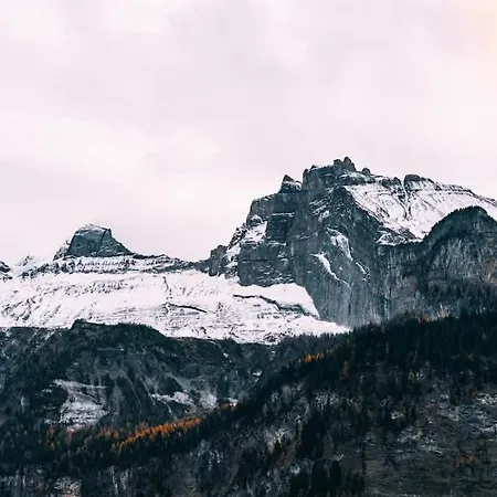 Apartament Dita - Cozy In Kandersteg