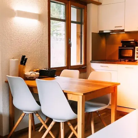 Dita - Cozy In Apartament