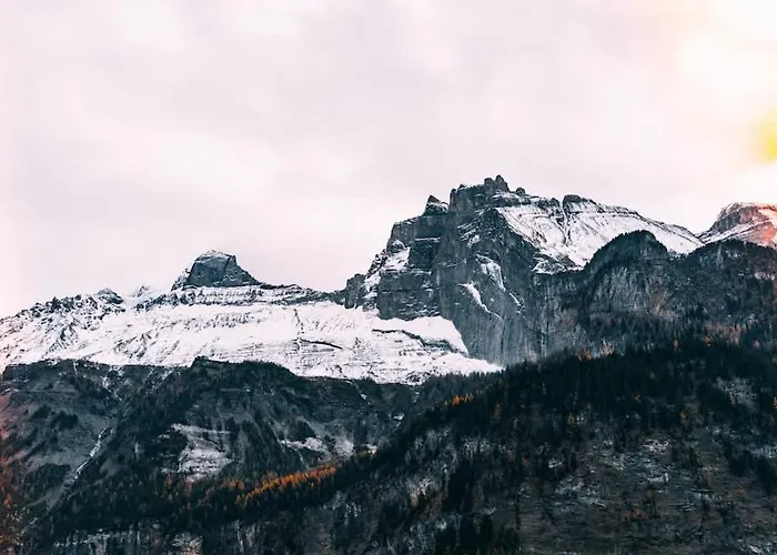 Apartament Dita - Cozy In Kandersteg