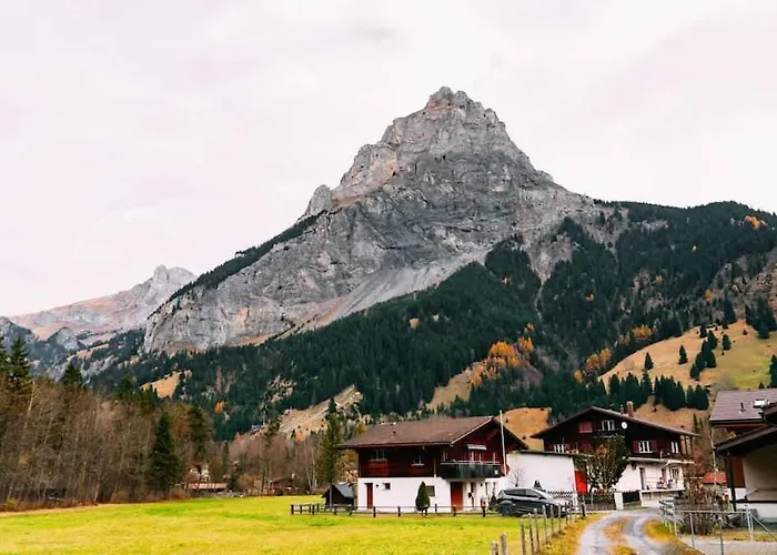 Dita - Cozy In Apartament